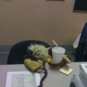 Meet your Posher, Renee